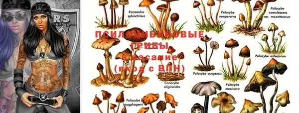 MDMA Premium VHQ Осинники