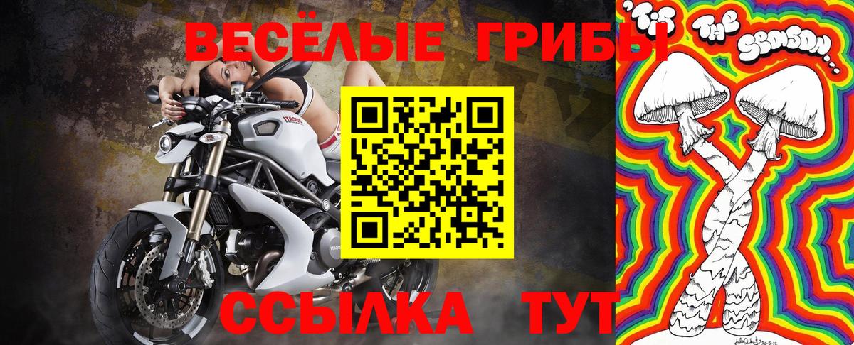 Псилоцибиновые грибы ЛСД Сатка