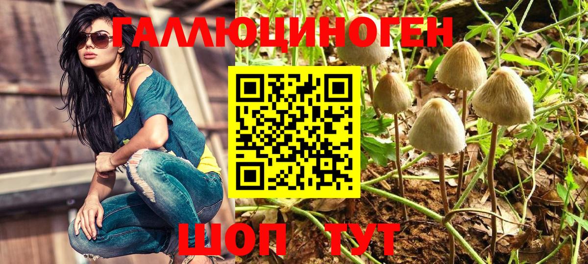 Галлюциногенные грибы Magic Shrooms  Вход с VPN  Сатка  хочу наркоту  Галлюциногенные грибы Cubensis 